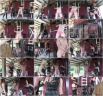 A Lesson In Caning (30.05.2016/Female Domination/FullHD/1080p) 