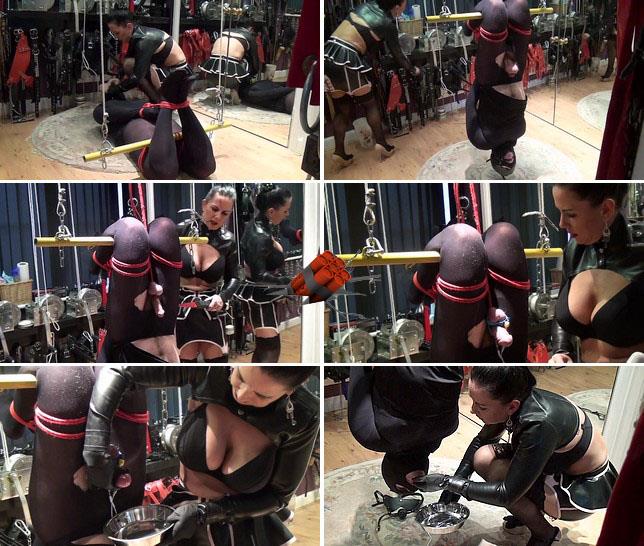 644px x 546px - Extreme Insertion: Amateur - The feeding clinic - Suspended electro torture  (HD/2016) Â» K2s club - Download k2s, keep2share Porn, Adult, Video, Free,  Watch, Online
