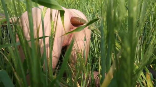 Summer Meadow scared - Amateur Outdoor - Solo (17.09.2016/Scat/FullHD/1080p) 