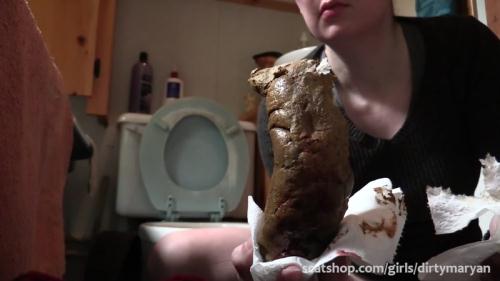 Pooping thick log at my in laws place - Solo Scat (13.12.2016/Scat/FullHD/1080p) 