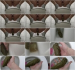 Christmas sausage - Solo Scat [FullHD, 1080p] [Fboom Scat]