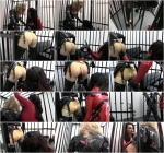 Miss Velour - Caged, Chained and Impaled [FullHD, 1080p] [Clips4sale.com]