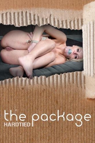 Kenzie Taylor - The Package [HD, 720p] [HardTied.com]