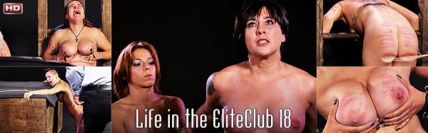 Torture - Life in the EliteClub 18 (2015/HD)
