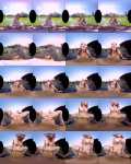 Mary Rider - Wild Tropical Ride (03.01.2019/RealityLovers.com/3D/VR/UltraHD 2K/1920p) 