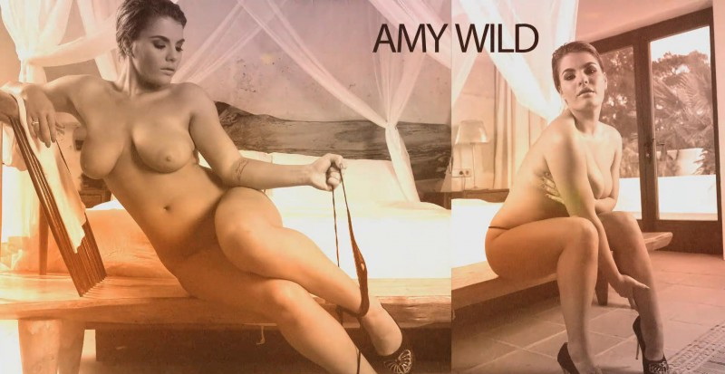 Amy Wild - Takes On Two Dicks (2019/FullHD)