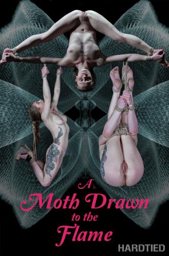 Cora Moth - A Moth Drawn To The Flame [HD, 720p] [HardTied.com]