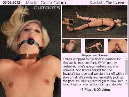 Callie Cobra - Strapped and Screwed (SD)
