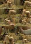 Rachel Adams - Sensitive [FullHD, 1080p] [HuCows.com] 