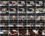 thefartbabes - Golden Tights Crazy Poop [Shit In Pantyhose / 244 MB] SD (Smearing, Solo)