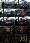 Abigail Dupree - Caged Outdoor Salacity [HD, 720p] [SensualPain.com] 