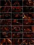 Shalina Devine, Veronica Leal - Shalina Devine & Veronica Leal Threesome [FullHD 1080p]