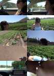 Mi Ha Doan - At The Farm 1-2 [FullHD, 1080p]