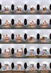 Mary Jane, Rebecca Black - Reliving Last Night's Threesome (17.05.2021/VirtualRealPorn.com/3D/VR/UltraHD 4K/2160p) 