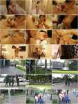 Asiansexdiary: My - My morning (FullHD/1080p/380 MB)