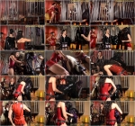 Horny Horse Power Part 1 - Domination [FullHD] (688 MB)