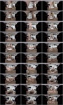 StockingsVR: POV Porn Virtual Reality (Gear VR) (4K UHD/2160p/808 MB) 12.12.2016