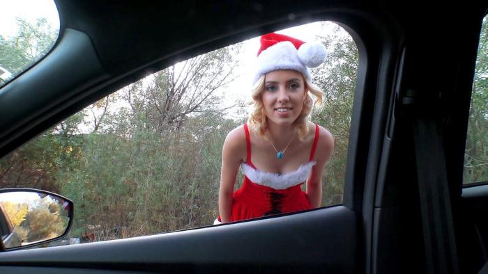 Haley Reed the Horny Christmas Hitchhiker / 30-12-2016 [SD/480p/MP4/306 MB] by XnotX