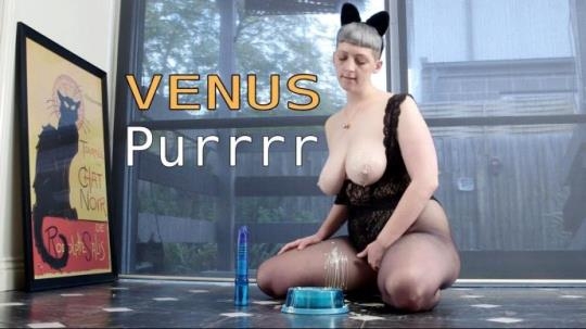 GirlsOutWest: Venus - Purrrr (FullHD/1080p/1.14 GB) 14.03.2017