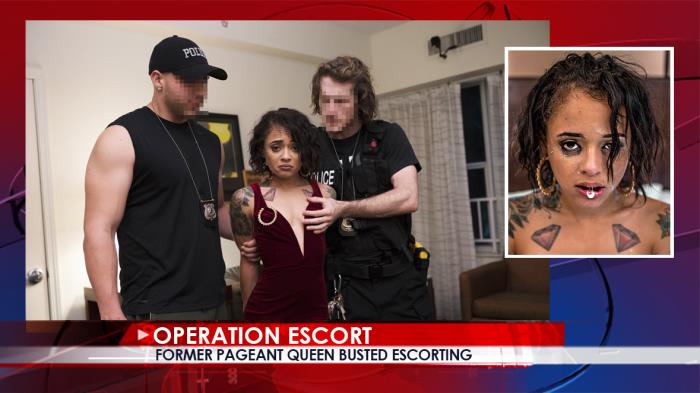 Holly Hendrix - Former Pageant Queen Busted Escorting / 11-10-2017 (OperationEscort) [SD/480p/MP4/548 MB] by XnotX