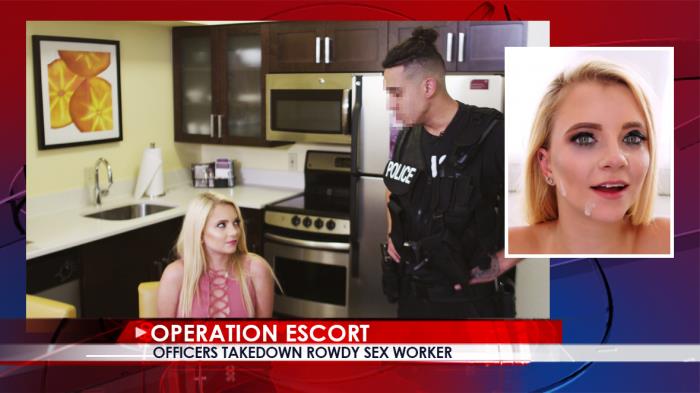 Riley Star - Officers Takedown Rowdy Sex Worker / 11-10-2017 (OperationEscort) [SD/480p/MP4/454 MB] by XnotX
