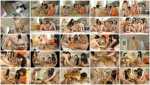 Japan Scat: (ODV-355) - Golden Women’s Association Of Human E. Coli-ridden Toilet 5 [DVDRip] - Scat Humiliation