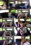 FemaleFakeTaxi.com: Nathaly Cherie, Nathaly Heaven - Big tits bounce in dirty cab sex [333 MB / SD / 480p] (Amateur)