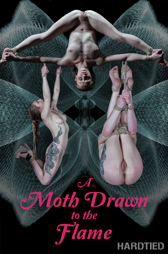 A Moth Drawn To The Flame / Cora Moth / 24-02-2019 [HD/720p/MP4/2.12 GB] by XnotX