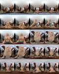 Brandi Love - Groupie LOVE (17.10.2022/MilfVR.com/3D/VR/FullHD/1080p) 