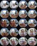 Blake Blossom, Slimthick Vic - Summer Time - 2 Smoking Hot Blondes by the Pool - 34616 (22.05.2023/SLR Originals, SLR/3D/VR/UltraHD 4K/2900p) 