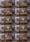 Giada, Ellie Karter, Amy Lullaby - Clit Rubbing [FullHD, 1080p]