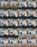 VirtualPorn, BangBros: Ashley Alexander - Date Night Choices [Oculus Rift, Vive | SideBySide] [2160p]