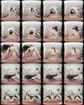 VRPornJack, SLR: Lexy Emerald - First Dirty Massage [Oculus Rift, Vive | SideBySide] [3072p]